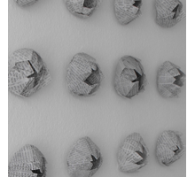 TraumaGarten  – Objekt aus Papier (2010)