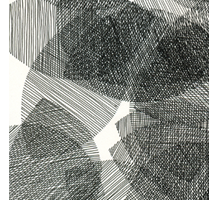 o. T. / aus der Serie Im Wald    Tuschezeichnung, 21 cm x 14,7 cm (2011)