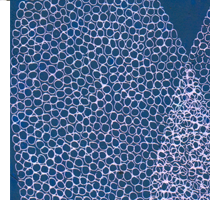 o. T. / aus der Serie Plankton    lkreide, 19 cm x 19 cm (2013)